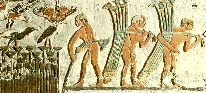 Papyrusabtransport in Egypten